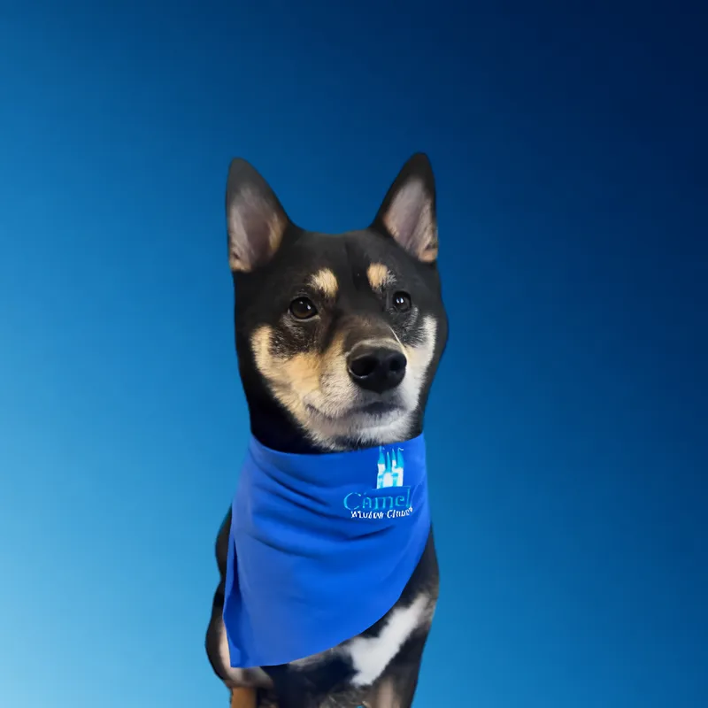 Mako